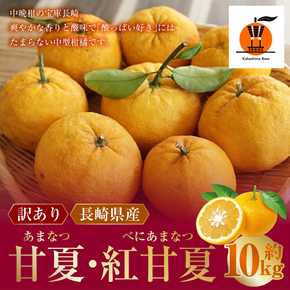 【ふるさと納税】【訳あり】長崎県産 甘夏・紅甘夏みかん 約10kg みかん ミカン 蜜柑 柑橘類 中型柑橘 フルーツ くだもの 果物 果実 国産 長崎県 長崎市 送料無料 【2026年2月上旬～3月下旬迄発送予定】 サムネイル2