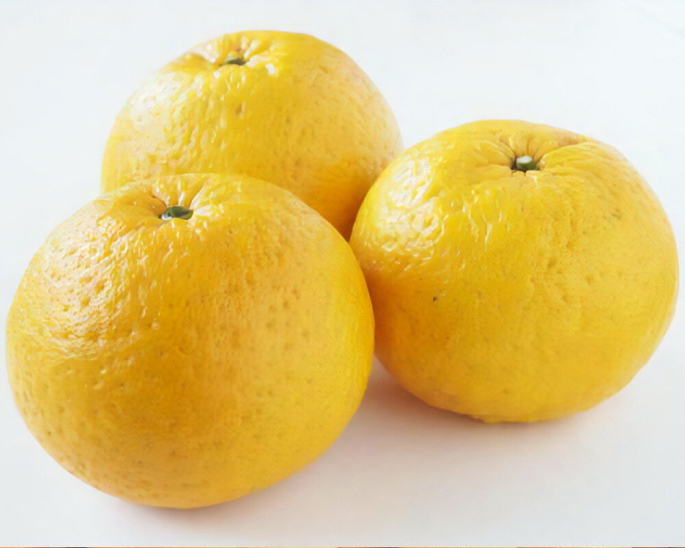 【ふるさと納税】【訳あり】長崎県産 甘夏・紅甘夏みかん 約10kg みかん ミカン 蜜柑 柑橘類 中型柑橘 フルーツ くだもの 果物 果実 国産 長崎県 長崎市 送料無料 【2026年2月上旬～3月下旬迄発送予定】 サムネイル3