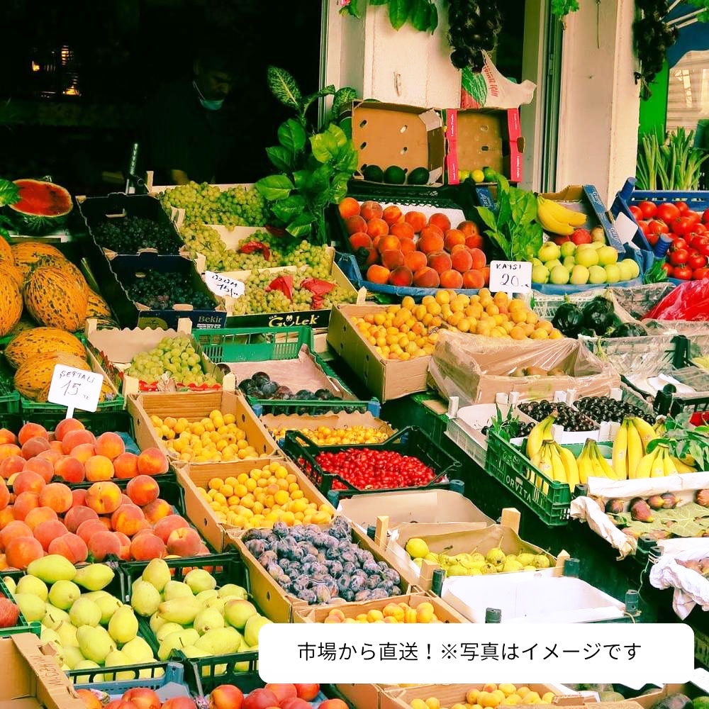 【ふるさと納税】旬をお届け!何が届くのか?お任せフルーツ!【M】 おまかせ お楽しみ フルーツ くだもの 果物 果実 冷蔵 長崎県産 国産 九州 長崎県 長崎市 送料無料 サムネイル2