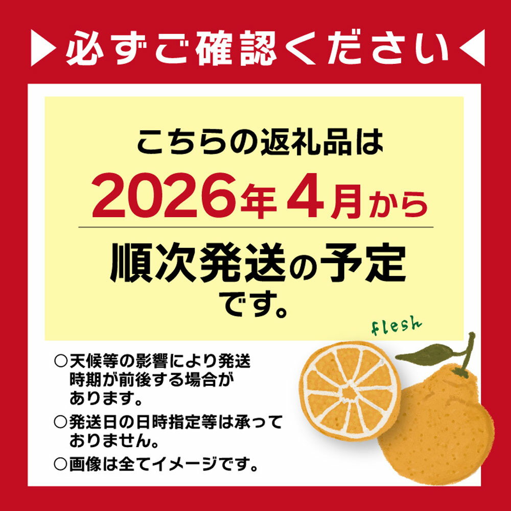【ふるさと納税】 こだわり農家の 秀品 不知火 18玉 蜜柑 みかん ミカン 果物 フルーツ ギフト 贈り物 プレゼント 柑橘 くだもの 長崎県 長崎市 青果 濃厚 甘い 柑橘類 贈答 県産 送料無料 【2026年4月上旬より発送開始予定】 サムネイル2