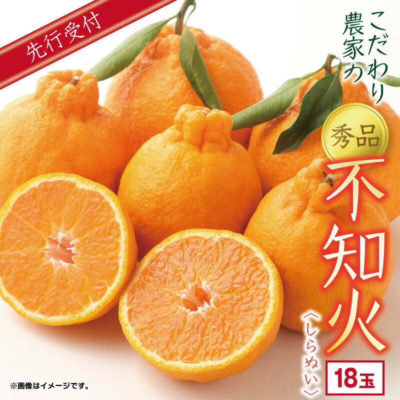 こだわり農家の 秀品 不知火 18玉 蜜柑 みかん ミカン 果物 フルーツ ギフト 贈り物 プレゼント 柑橘 くだもの 長崎県 長崎市 青果 濃厚 甘い 柑橘類 贈答 県産 送料無料 【2026年4月上旬より発送開始予定】