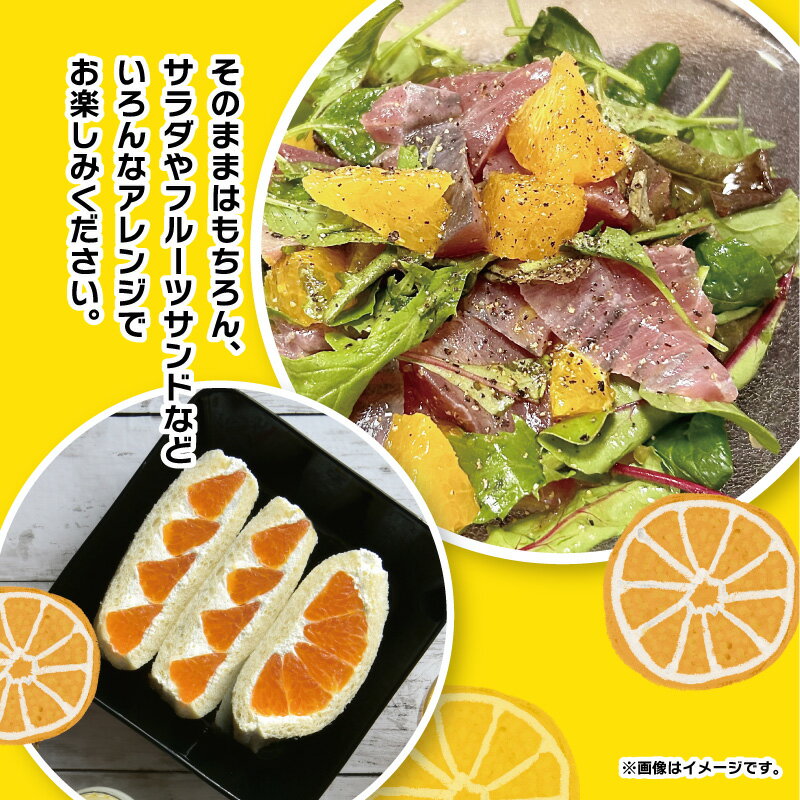 【ふるさと納税】 こだわり農家の 秀品 不知火 18玉 蜜柑 みかん ミカン 果物 フルーツ ギフト 贈り物 プレゼント 柑橘 くだもの 長崎県 長崎市 青果 濃厚 甘い 柑橘類 贈答 県産 送料無料 【2026年4月上旬より発送開始予定】 サムネイル3