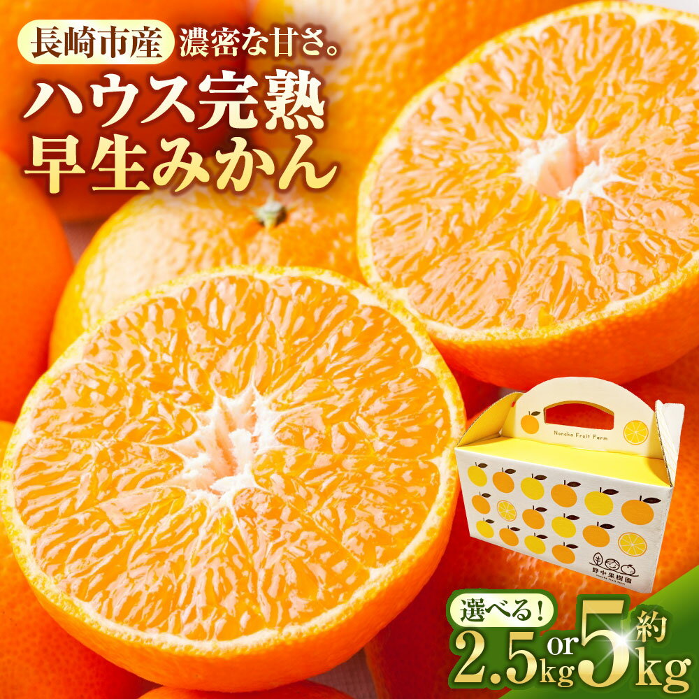 先行予約 ハウス完熟早生みかん 選べる容量 ( お試し 約2.5kg箱 / 約5kg ) | 期間限定 早生温州みかん ミカン 蜜柑 フルーツ 果物 柑橘 長崎県 長崎市 送料無料 オンライン決済限定 アフター保証 【2026年1月上旬～下旬迄発送予定】