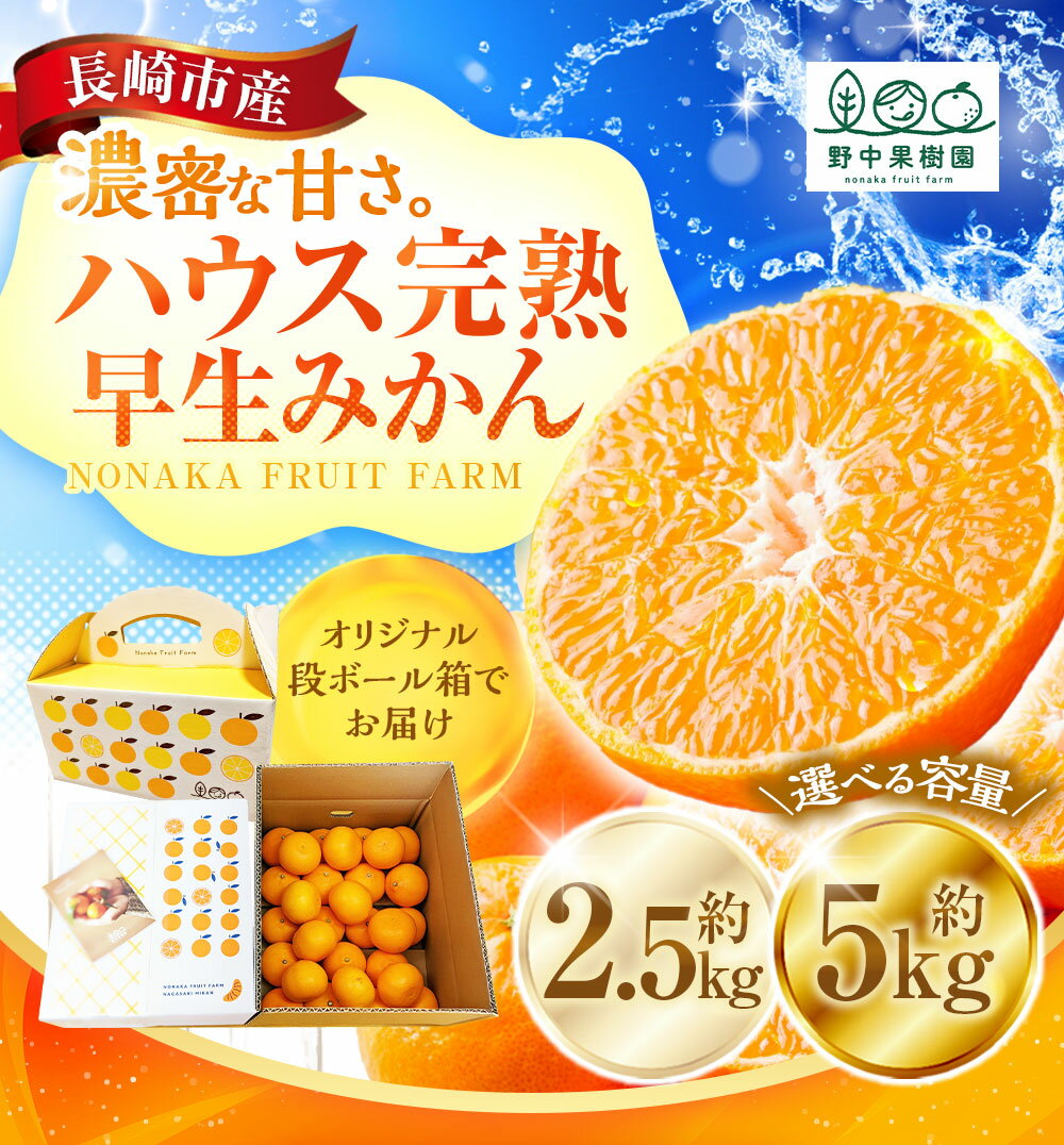 【ふるさと納税】先行予約 ハウス完熟早生みかん 選べる容量 ( お試し 約2.5kg箱 / 約5kg ) | 期間限定 早生温州みかん ミカン 蜜柑 フルーツ 果物 柑橘 長崎県 長崎市 送料無料 オンライン決済限定 アフター保証 【2026年1月上旬～下旬迄発送予定】 サムネイル2
