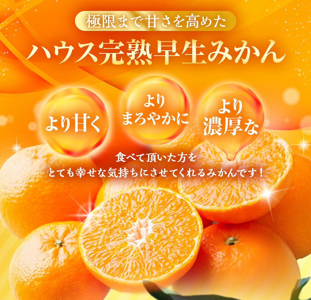 【ふるさと納税】先行予約 ハウス完熟早生みかん 選べる容量 ( お試し 約2.5kg箱 / 約5kg ) | 期間限定 早生温州みかん ミカン 蜜柑 フルーツ 果物 柑橘 長崎県 長崎市 送料無料 オンライン決済限定 アフター保証 【2026年1月上旬～下旬迄発送予定】 サムネイル3