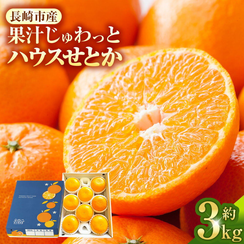 ★追加受付開始★ ハウスせとか 3kg 化粧箱セット | せとか みかん 高級 高級みかん 柑橘類 フルーツ 旬 長崎市 送料無料 オンライン決済限定 アフター保証【2026年2月下旬-3月下旬迄発送予定】