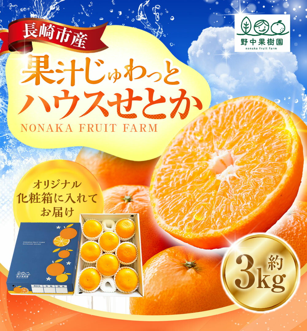 【ふるさと納税】★追加受付開始★ ハウスせとか 3kg 化粧箱セット | せとか みかん 高級 高級みかん 柑橘類 フルーツ 旬 長崎市 送料無料 オンライン決済限定 アフター保証【2026年2月下旬-3月下旬迄発送予定】 - 画像3