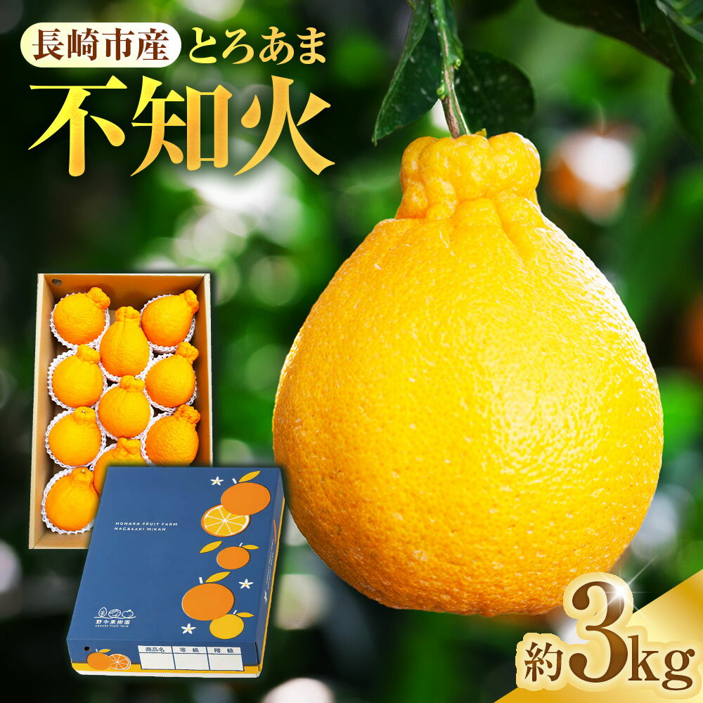 先行予約！ 不知火 約3kgセット | 季節限定 しらぬい 果物 くだもの フルーツ みかん ミカン 柑橘 完熟 ハウス栽培 アフター保証 オンライン決済限定 【2026年3月上旬～下旬迄発送予定】