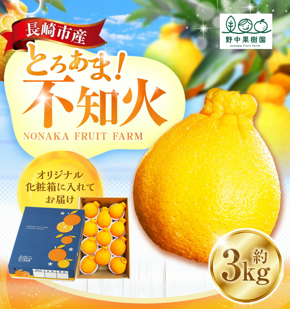 【ふるさと納税】先行予約！ 不知火 約3kgセット | 季節限定 しらぬい 果物 くだもの フルーツ みかん ミカン 柑橘 完熟 ハウス栽培 アフター保証 オンライン決済限定 【2026年3月上旬～下旬迄発送予定】 サムネイル2