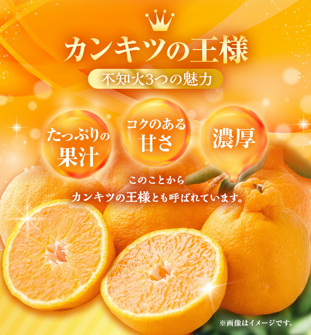 【ふるさと納税】先行予約！ 不知火 約3kgセット | 季節限定 しらぬい 果物 くだもの フルーツ みかん ミカン 柑橘 完熟 ハウス栽培 アフター保証 オンライン決済限定 【2026年3月上旬～下旬迄発送予定】 サムネイル3