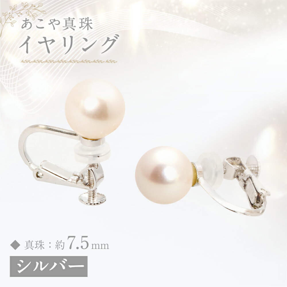 【ふるさと納税】あこや真珠（約7.5mm珠） イヤリング シルバー SV アコヤ本真珠 パール 女性 レディース アクセサリー ジュエリー ファッション 宝石 長崎県 長崎市 送料無料 サムネイル2