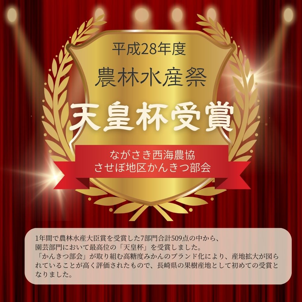 【ふるさと納税】 【先行予約・選べる容量】西海みかん 味まる 5kg 10kg 糖度12度以上 佐世保 長崎 ミカン 旬 甘い 家庭用 自宅用 送料無料 長崎県産 常温 ブランドみかん みかん サムネイル2