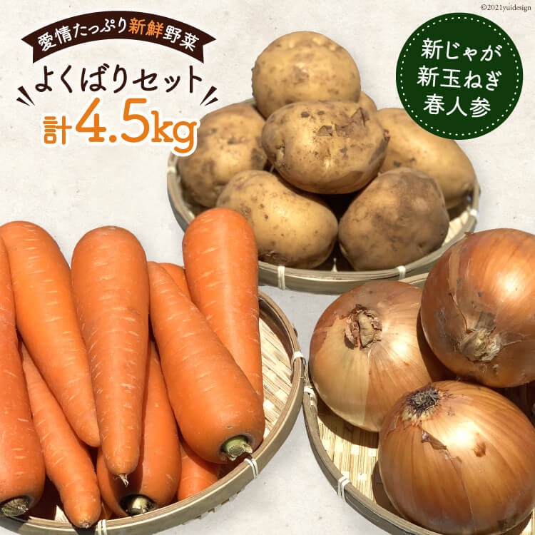 【令和8年度出荷分】AF156 新じゃがいも・新玉ねぎ・春人参のよくばりセット 春