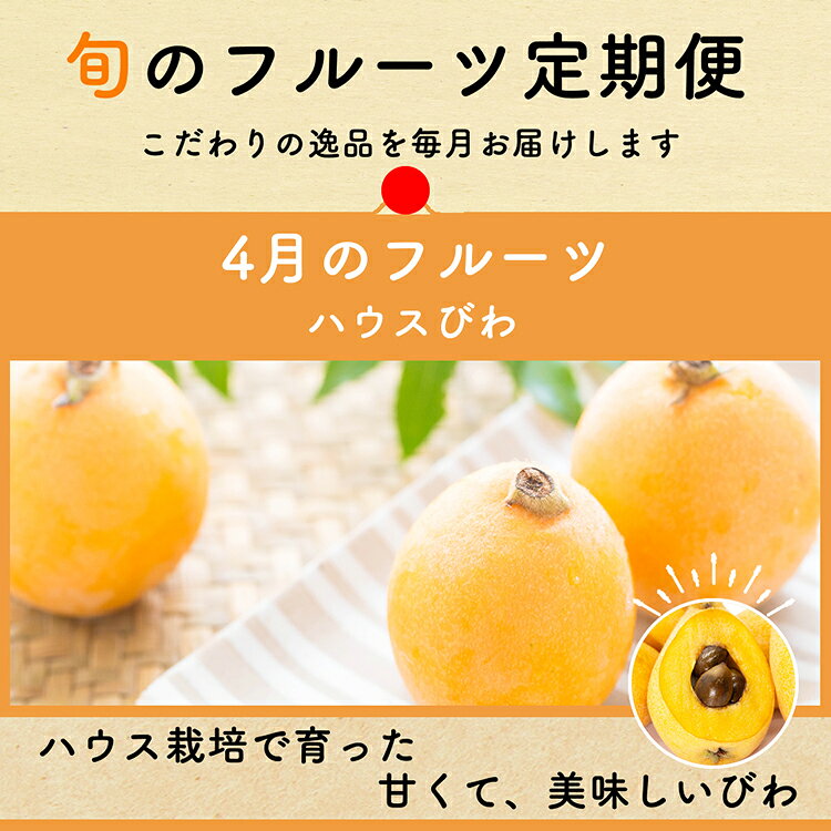 【ふるさと納税】 CH106 【令和8年度出荷分】【春～夏季】フルーツ定期便（全4回） ハウスびわ 小玉スイカ 小玉メロン 梨 [ 果物 フルーツ びわ すいか メロン ナシ 長崎県 島原市 ] サムネイル2