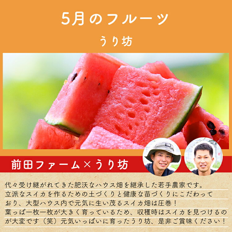 【ふるさと納税】 CH106 【令和8年度出荷分】【春～夏季】フルーツ定期便（全4回） ハウスびわ 小玉スイカ 小玉メロン 梨 [ 果物 フルーツ びわ すいか メロン ナシ 長崎県 島原市 ] サムネイル3