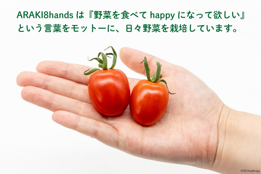 【ふるさと納税】 AH115 宝石のように輝くトマト プレミアムルビー6kg 【 島原市 トマト 農家直送 】 - 画像2