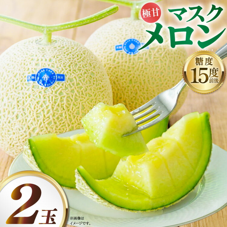 【期間限定発送】AA048 その道一筋の生産者がじっくり丁寧に育てた マスクメロン 2玉入