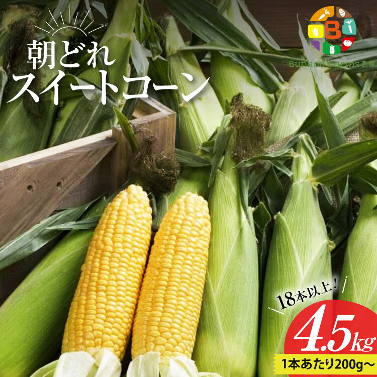 BG035　【令和8年度出荷分】5月下旬から出荷！ 朝どれ スイートコーン 200g以上×18本以上 4.5kg ～名水百選の里 島原産～