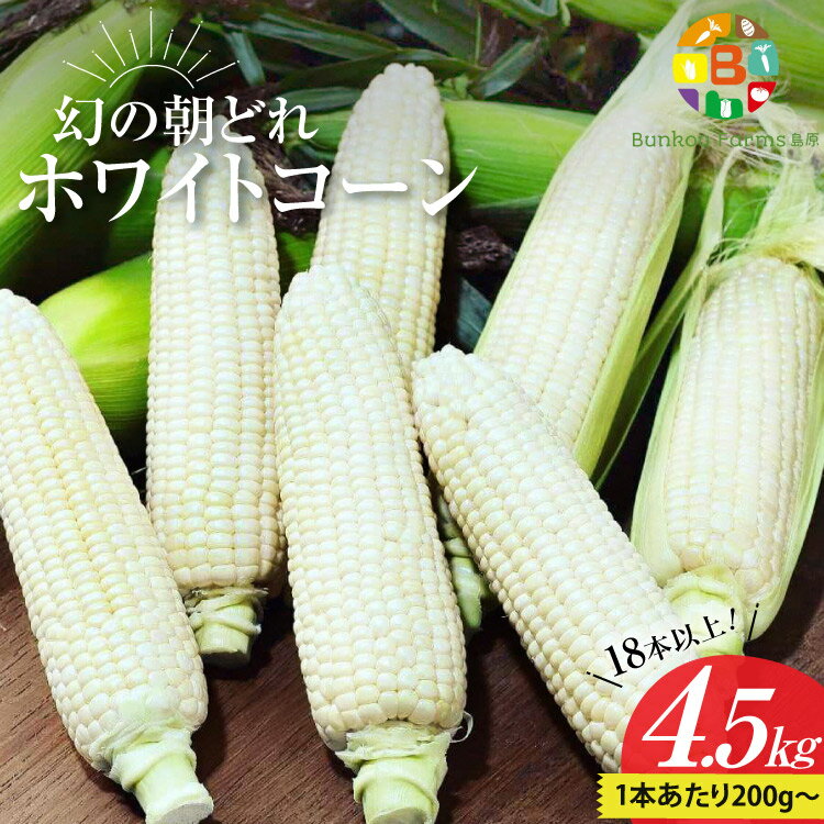 BG036 【令和8年度出荷分】6月中旬から出荷！ 幻の朝どれ ホワイトコーン 200g以上×18本以上 4.5kg ～名水百選の里 島原産～