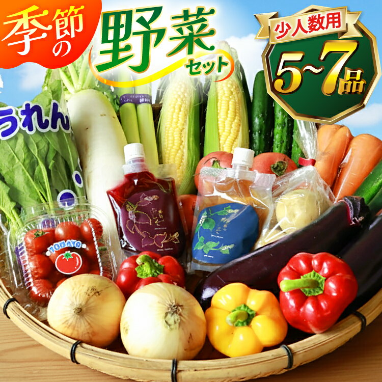 AJ313 野菜セット 5〜7品目 しそジュース付き [ 野菜 詰め合わせ 少人数用 一人暮らし 二人暮らし シソジュース 紫蘇ジュース 長崎県 島原市 ]