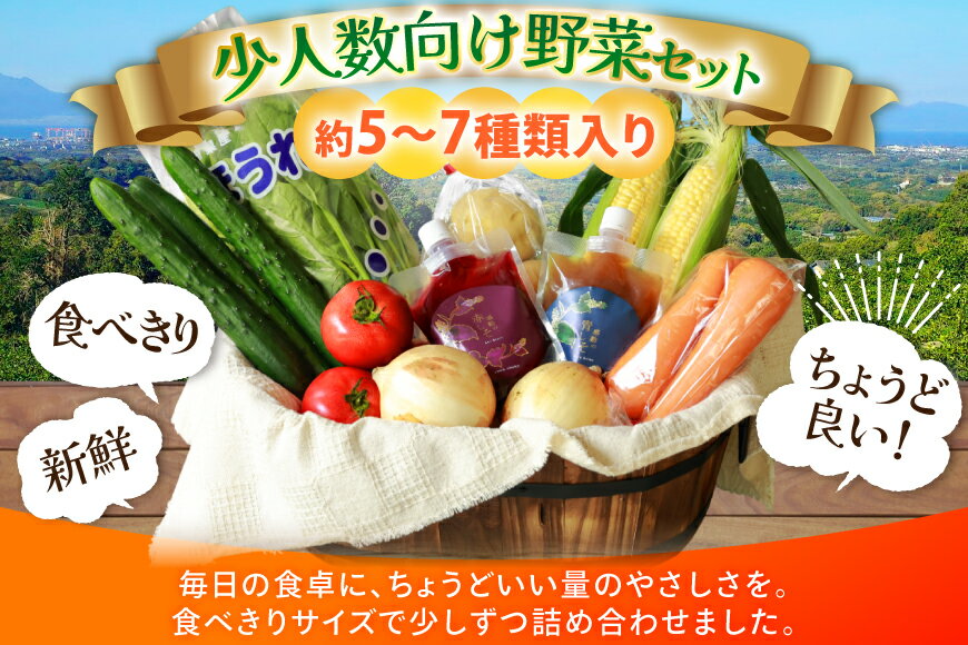 【ふるさと納税】 AJ313 野菜セット 5〜7品目 しそジュース付き [ 野菜 詰め合わせ 少人数用 一人暮らし 二人暮らし シソジュース 紫蘇ジュース 長崎県 島原市 ] - 画像2
