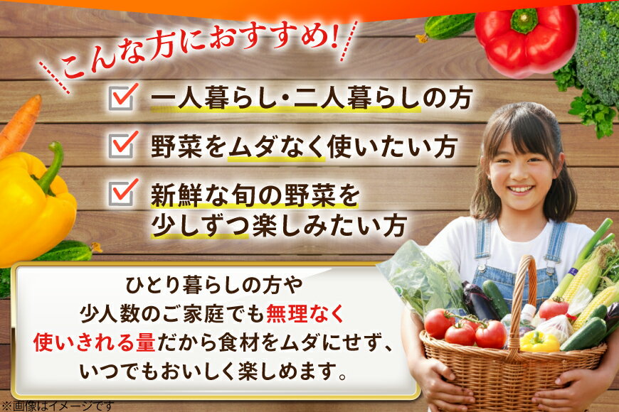 【ふるさと納税】 AJ313 野菜セット 5〜7品目 しそジュース付き [ 野菜 詰め合わせ 少人数用 一人暮らし 二人暮らし シソジュース 紫蘇ジュース 長崎県 島原市 ] - 画像3