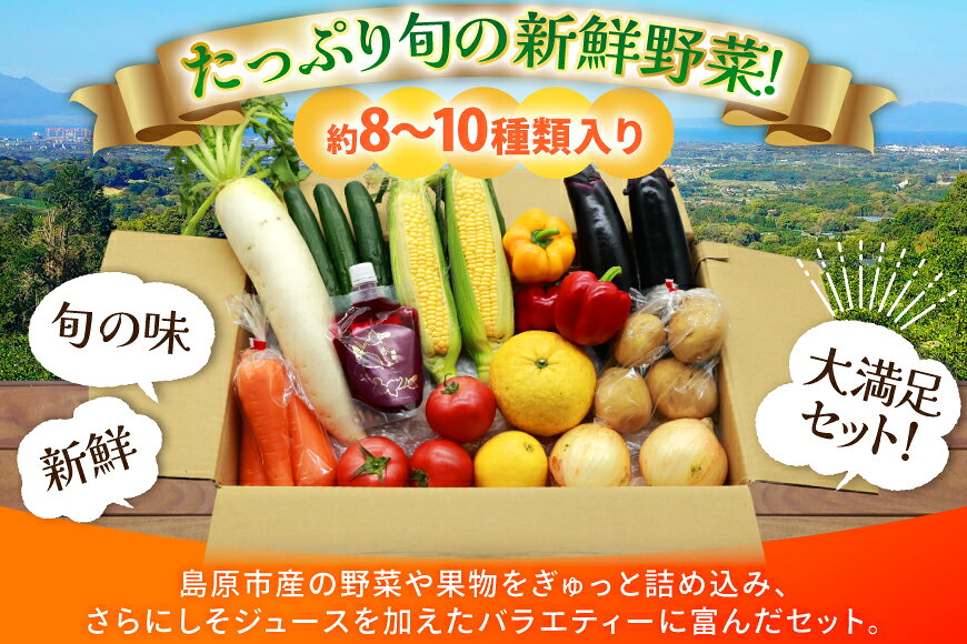 【ふるさと納税】 AJ314 季節の野菜・果物セット 8～10品 しそジュース付き [ 野菜 詰合せ 長崎県 島原市 ] - 画像2