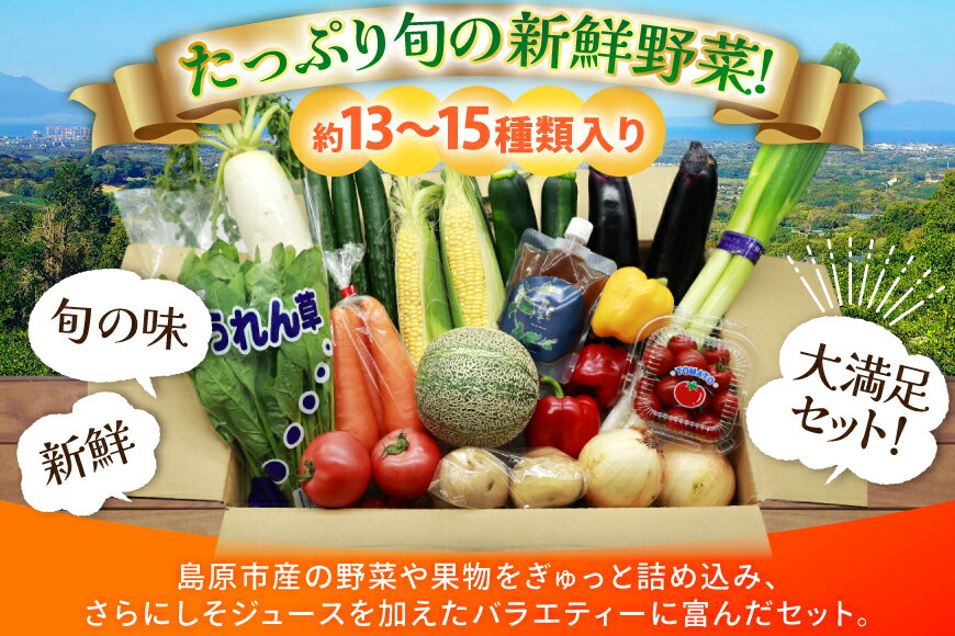 【ふるさと納税】 AJ315 季節の野菜・果物セット 13～15品 しそジュース付き [ 野菜 詰合せ 長崎県 島原市 ] - 画像2