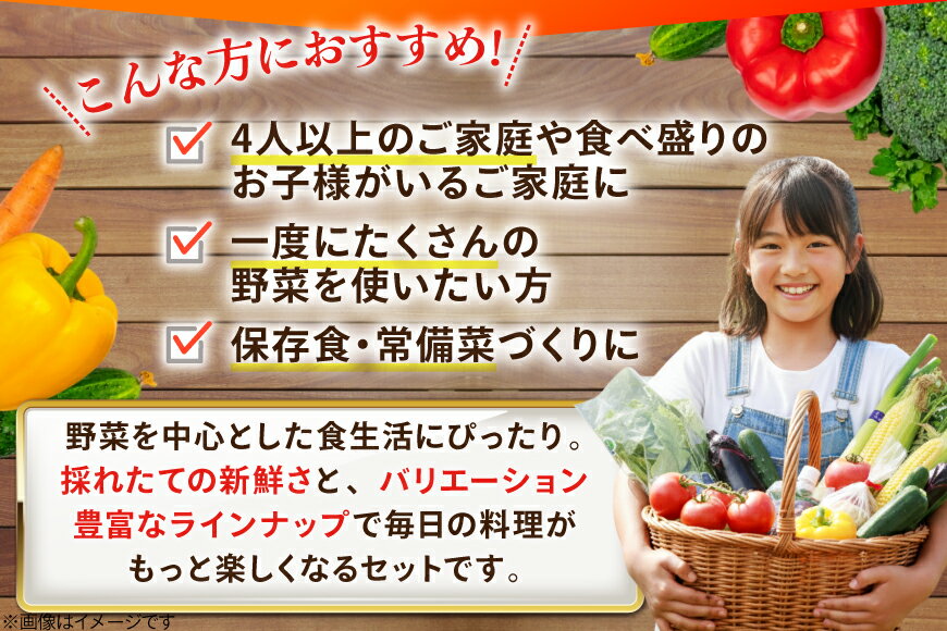 【ふるさと納税】 AJ315 季節の野菜・果物セット 13～15品 しそジュース付き [ 野菜 詰合せ 長崎県 島原市 ] - 画像3