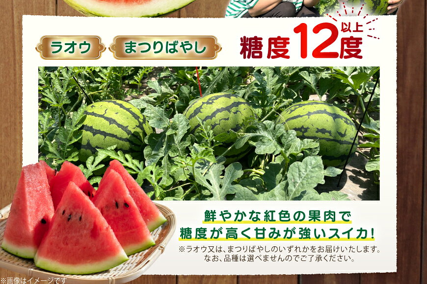 【ふるさと納税】 AJ455 【令和8年度出荷分】 湧水の里 モリファーム 赤玉 スイカ ラオウ まつりばやし 3L 8〜10kg 1玉 [ 先行予約 数量限定 すいか スイカ 西瓜 フルーツ 果物 長崎 長崎県 島原市 ] サムネイル3