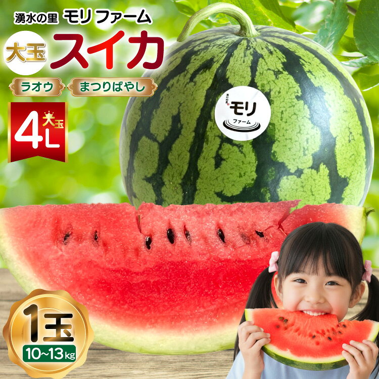 AJ456 【令和8年度出荷分】 湧水の里 モリファーム 大玉スイカ ラオウ まつりばやし 4L 10〜13kg 1玉 [ 先行予約 数量限定 すいか スイカ 西瓜 フルーツ 果物 長崎 長崎県 島原市 ]