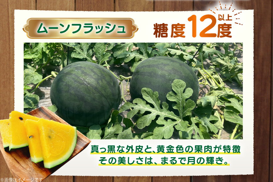 【ふるさと納税】 AJ457 【令和8年度出荷分】 湧水の里 モリファーム 大玉スイカ ムーンフラッシュ 2L 7〜8kg 1玉 [ 先行予約 数量限定 すいか スイカ 西瓜 フルーツ 果物 長崎 長崎県 島原市 ] サムネイル3