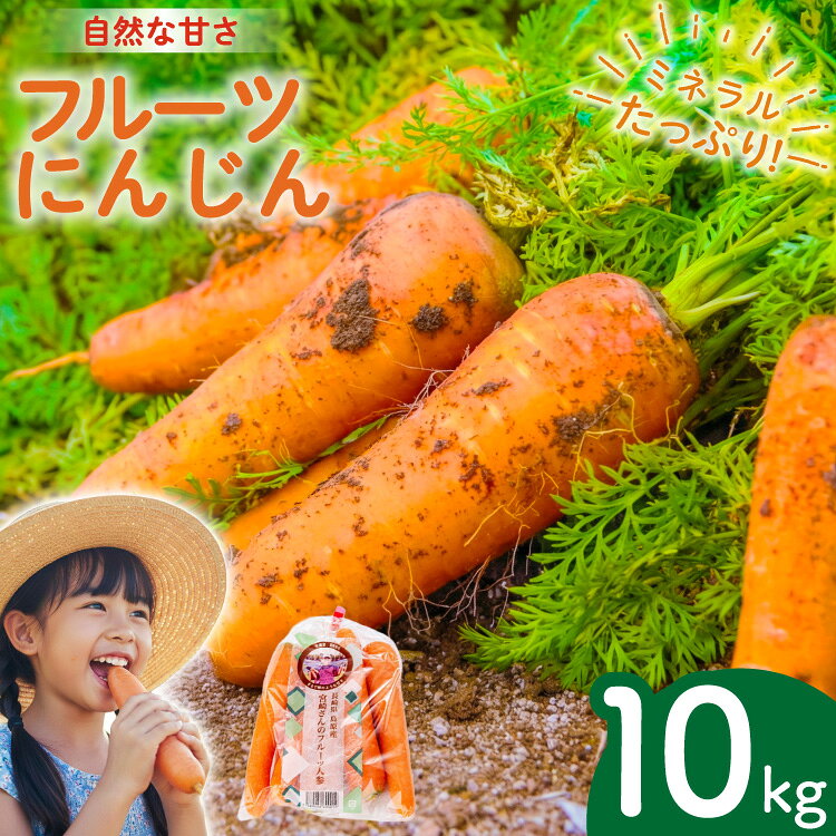 AJ464 【令和9年出荷分】 にんじん 宮崎さんのフルーツ人参 10kg [ 宮崎農園 長崎県 島原市 人参 にんじん フルーツ人参 野菜 根菜 甘い あまい ]
