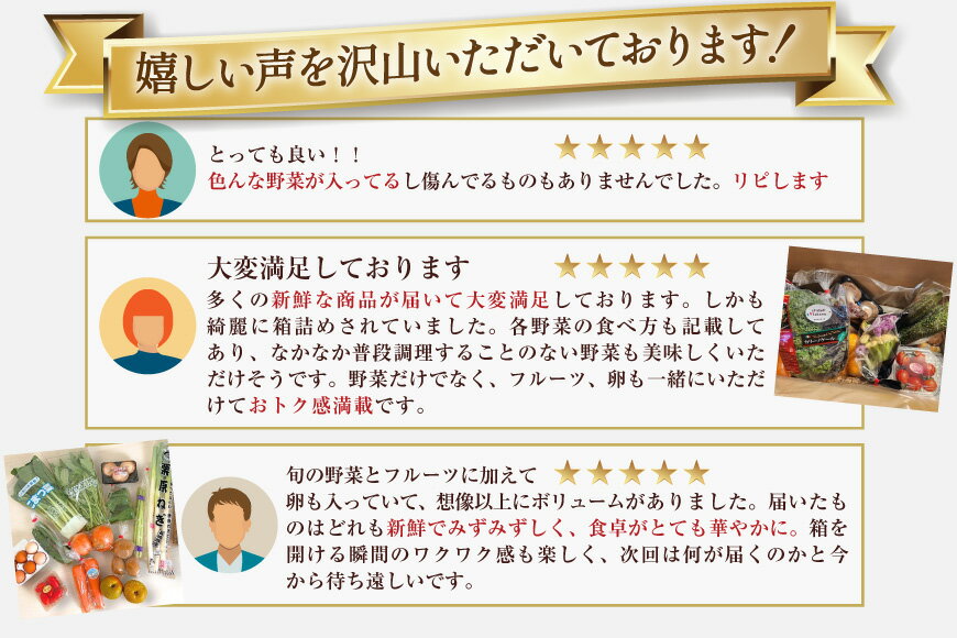 【ふるさと納税】 野菜 フルーツ 卵 旬のおまかせ セット 選べる お届け回数 (野菜・フルーツ13〜16品目、卵6玉) [ 野菜セット 定期便 3回 6回 12回 果物 たまご 鶏卵 産地直送 厳選 長崎県 島原市 422037021] レビューキャンペーン - 画像2