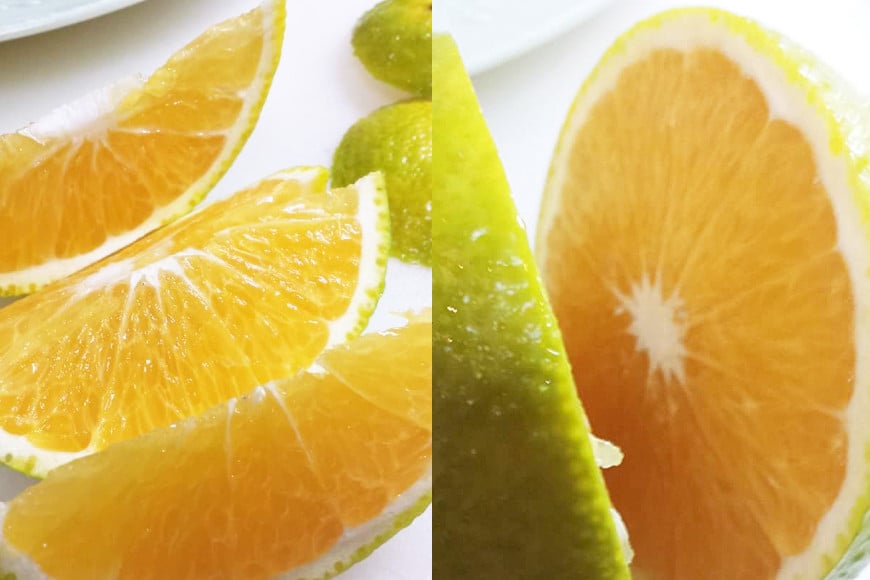 【ふるさと納税】BC002 森崎果樹園自慢のスイートスプリング（10kg）[みかん ミカン 旬 10キロ 長崎県 島原市] サムネイル3