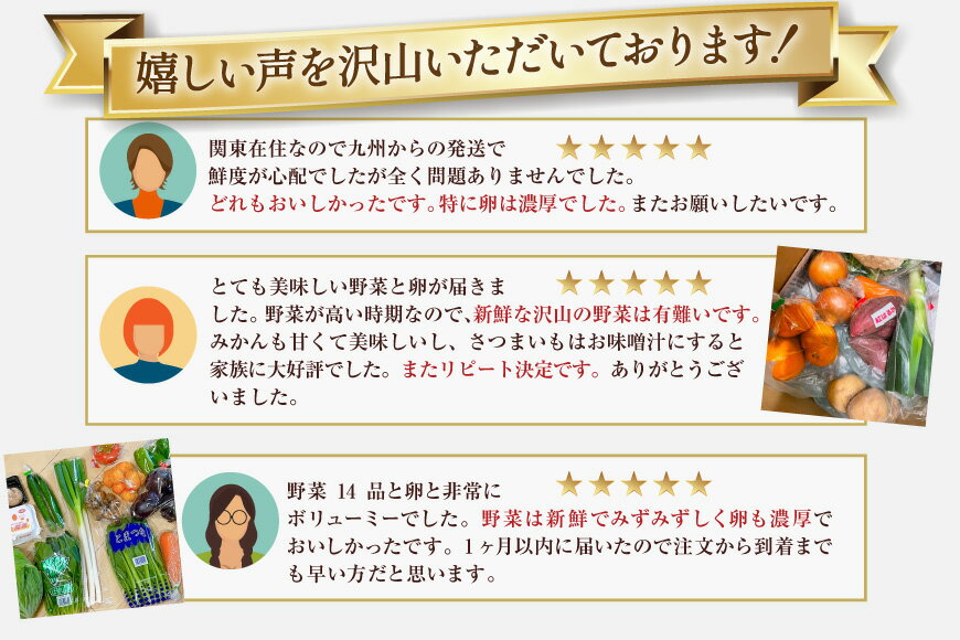 【ふるさと納税】旬の 野菜 フルーツ (12～14品目) 卵 6個 おまかせ セット 選べる お届け回数 [ 野菜 定期便 3回 6回 12回 野菜セット 果物 くだもの たまご 鶏卵 詰め合わせ フードショップ江戸屋 長崎県 島原市 422037022]レビューキャンペーン - 画像2