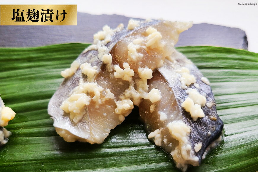 【ふるさと納税】 BG049 サワラの漬け3種セット 計60切 ( 西京漬け & 金山寺漬け & 塩麹漬け 各20切 ）【おかず 詰め合わせ 魚 鰆 さわら サワラ さごし サゴシ 丸政水産 長崎県 島原市】 レビューキャンペーン サムネイル3