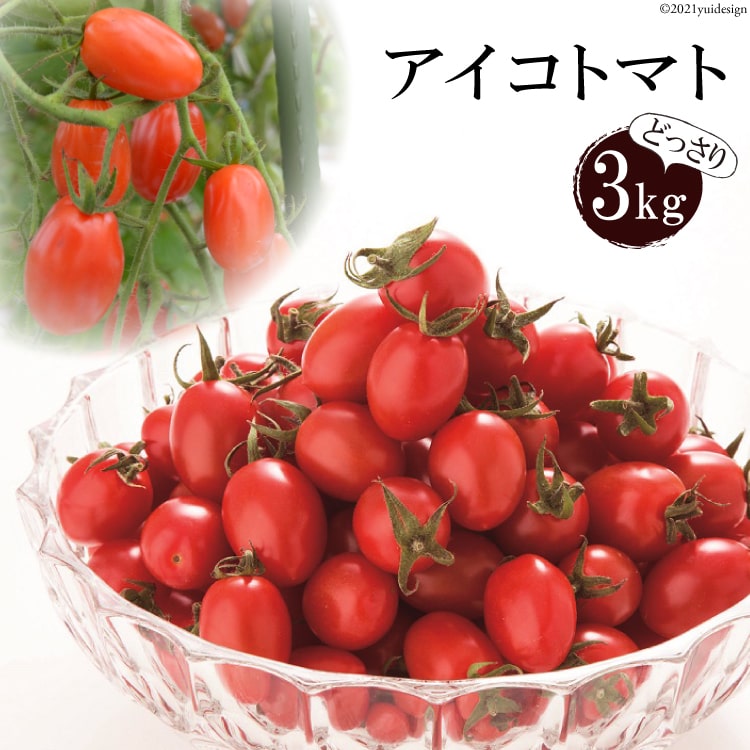 BA001 全国にファンがいる高級フルーツトマト アイコ どっさり！3kg [トマト フルーツトマト 3キロ 山口農園 長崎県 島原市]