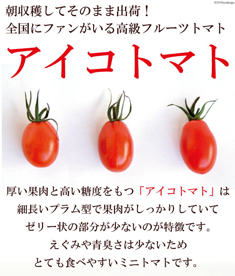 【ふるさと納税】 AG137【6回定期便】全国にファンがいる高級フルーツトマト アイコ たっぷり！1kg [トマト フルーツトマト 1キロ 定期 山口農園 長崎県 島原市] - 画像2