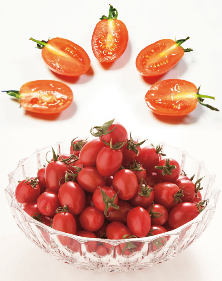 【ふるさと納税】 AG137【6回定期便】全国にファンがいる高級フルーツトマト アイコ たっぷり！1kg [トマト フルーツトマト 1キロ 定期 山口農園 長崎県 島原市] - 画像3