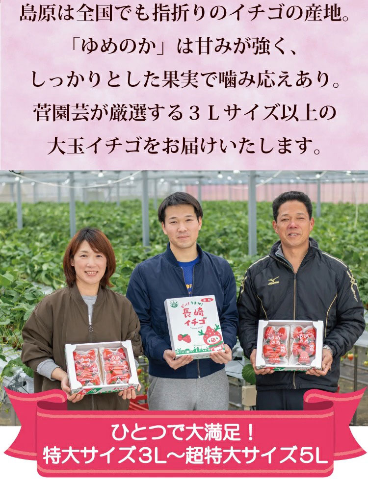 【ふるさと納税】 【期間限定発送】EA050 長崎県知事賞受賞【 大玉 いちご 】「 ゆめのか （3L〜5L）」265g×4パック ＜1〜4月にお届け＞ レビューキャンペーン サムネイル2