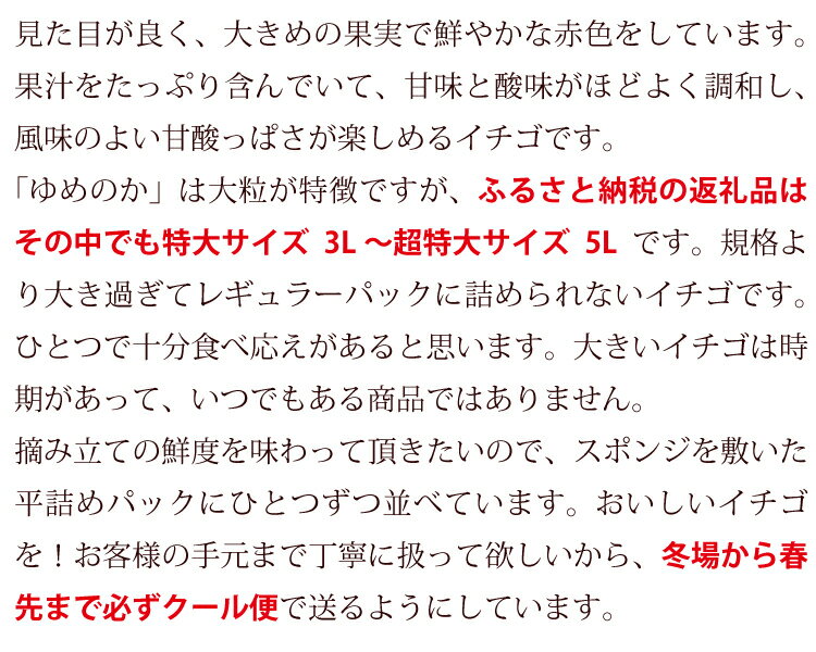 【ふるさと納税】 【期間限定発送】EA050 長崎県知事賞受賞【 大玉 いちご 】「 ゆめのか （3L〜5L）」265g×4パック ＜1〜4月にお届け＞ レビューキャンペーン サムネイル3