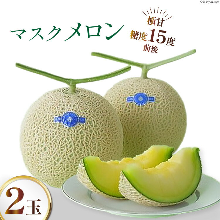 【期間限定発送】AA048 その道一筋の生産者がじっくり丁寧に育てた マスクメロン 2玉入