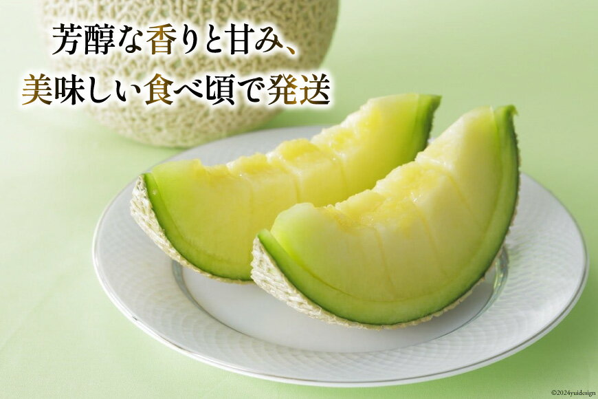 【ふるさと納税】 【期間限定発送】AA048 その道一筋の生産者がじっくり丁寧に育てた マスクメロン 2玉入 サムネイル2