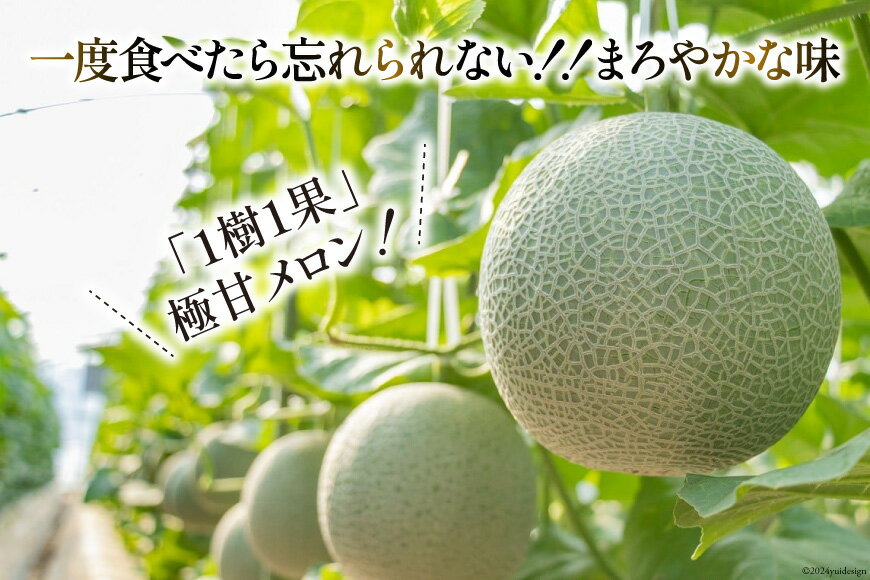 【ふるさと納税】 【期間限定発送】AA048 その道一筋の生産者がじっくり丁寧に育てた マスクメロン 2玉入 サムネイル3