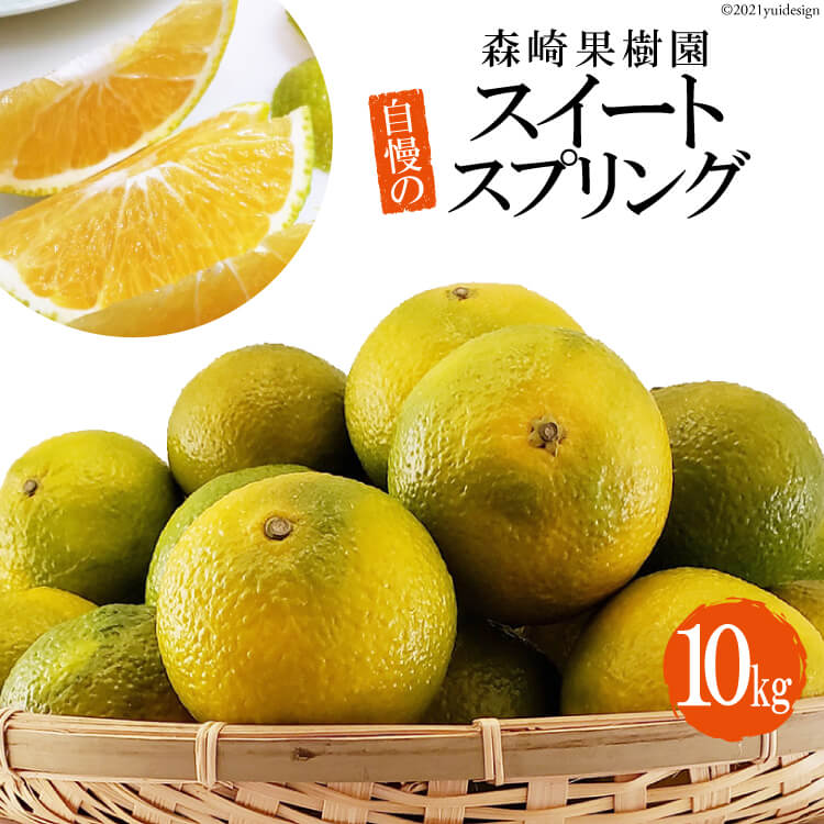 BC002 森崎果樹園自慢のスイートスプリング（10kg）[みかん ミカン 旬 10キロ 長崎県 島原市]