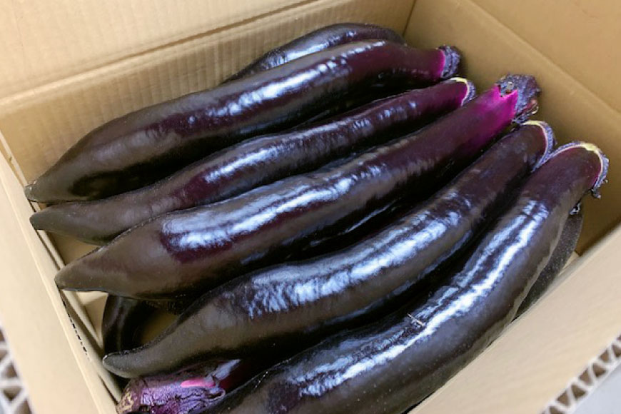 【ふるさと納税】 BF003【令和8年度出荷分】皮までおいしい！島原 大長ナス 3kg [ なす ナス 茄子 なすび 野菜 長ナス 天ぷら 焼き茄子 味噌汁 産地直送 長崎県 島原市 ] - 画像2