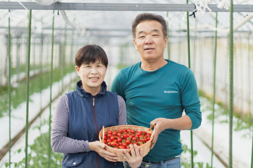 【ふるさと納税】 AF015 朝採れミニトマト トマトベリー たっぷり！1kg [トマト ミニトマト 1キロ 春 山口農園 長崎県 島原市] - 画像2