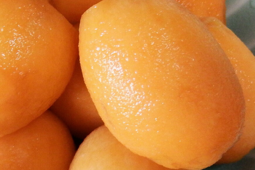 【ふるさと納税】 AF221【令和8年度出荷分】果汁たっぷり！川田さん家の温室栽培びわ 1kg [びわ ビワ フルーツ 果物 長崎県 島原市] サムネイル3