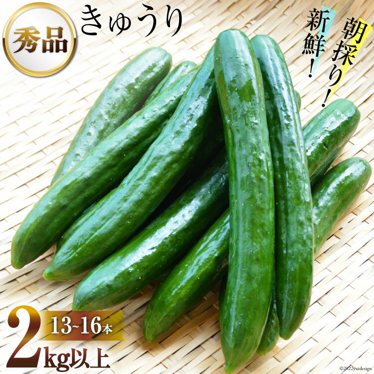 AG063【令和8年度出荷分】【秀品】新鮮 朝採りきゅうり 2kg以上 [ きゅうり 野菜 サラダ 漬物 酢の物 長崎県 島原市 ]